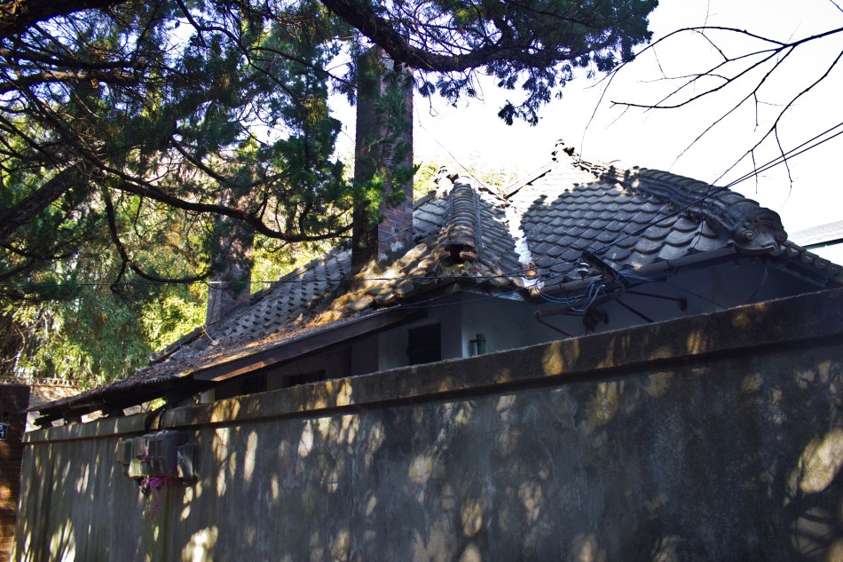 janggundon hill house roof