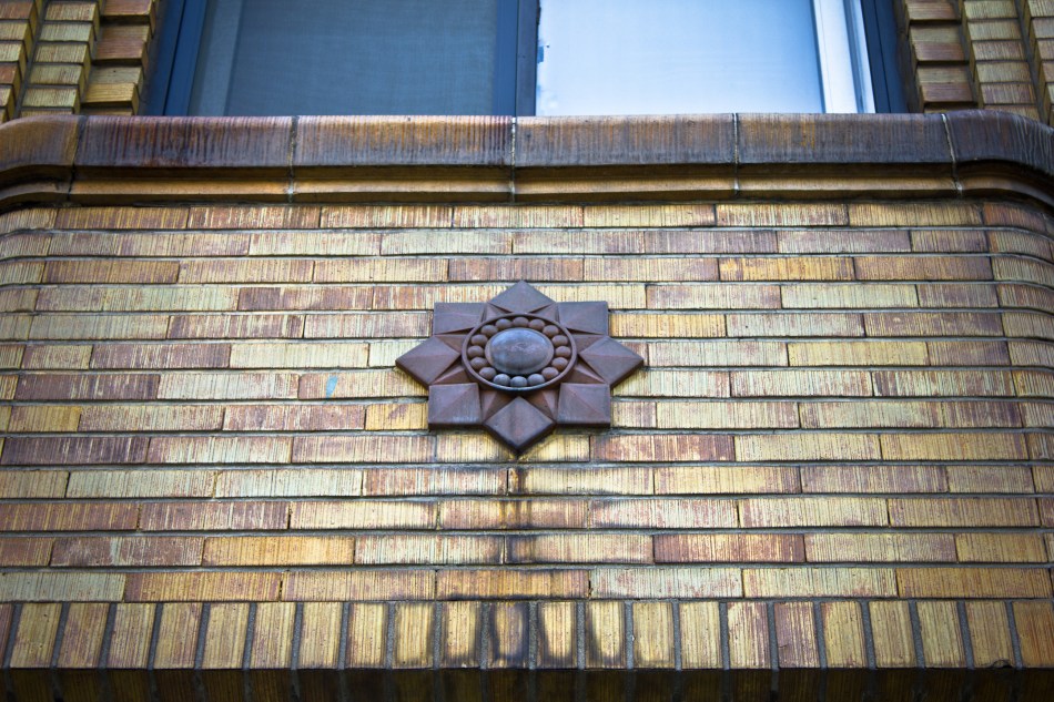 daejeon provincial hall flower