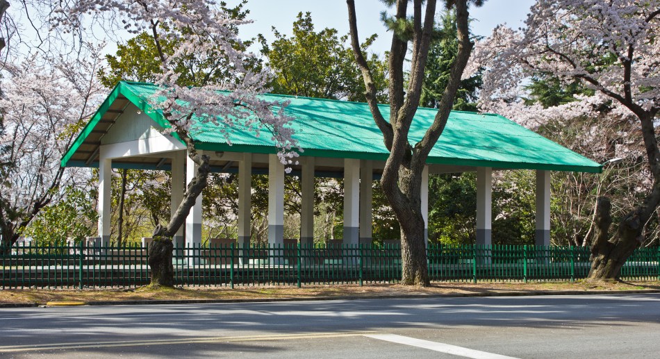 jinhae naval base 3